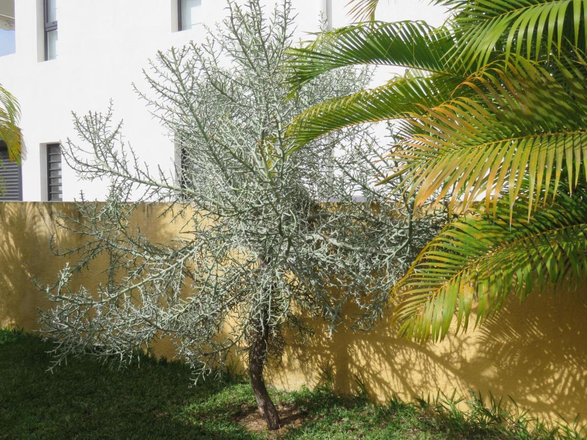 Villa Canelle تراوْ أوكس بيتْشيز المظهر الخارجي الصورة